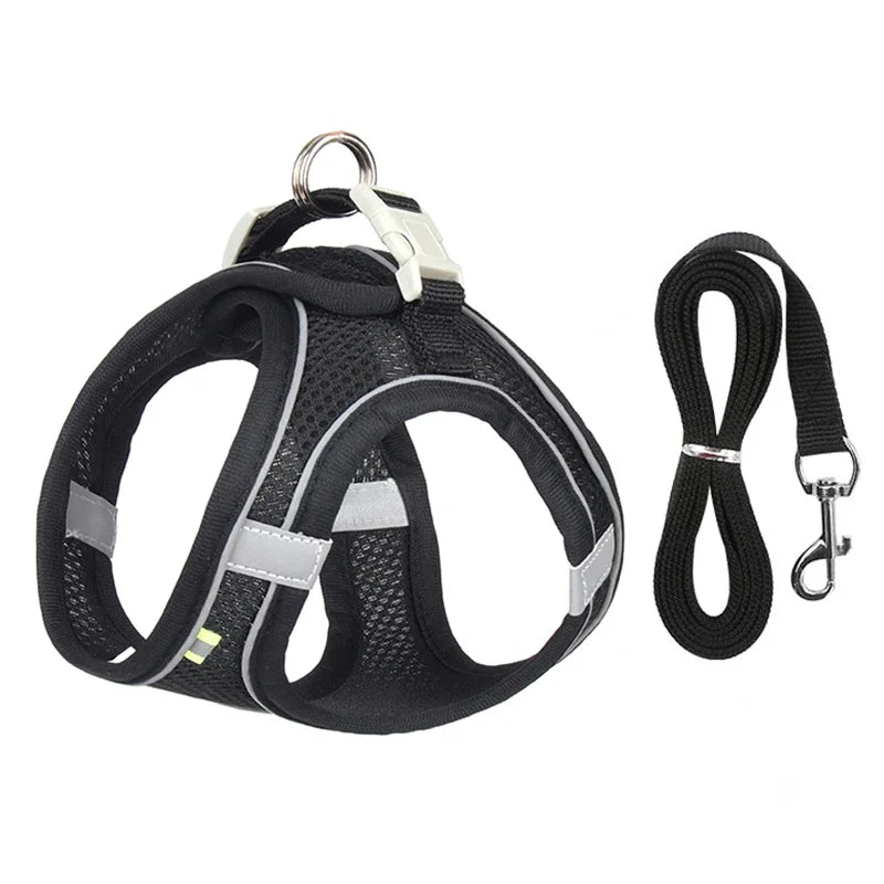 Adjustable Puppy Harness and Leash Set