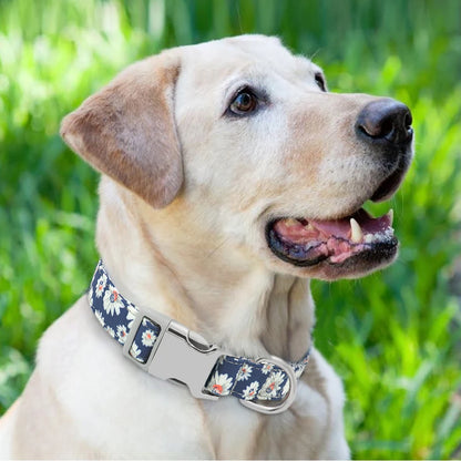 Personalized Adjustable Nylon Dog Collar with Name Buckle