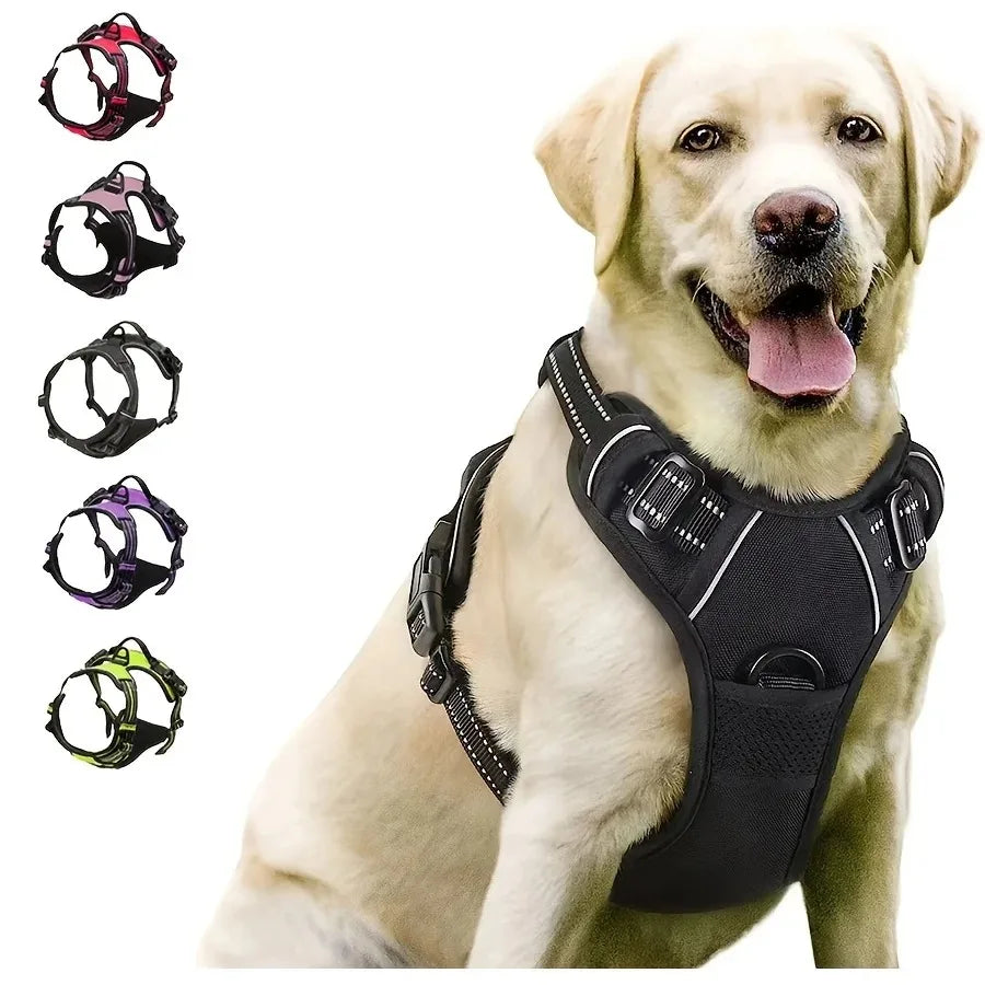 Leather Dog Harness Collar and Leash Set