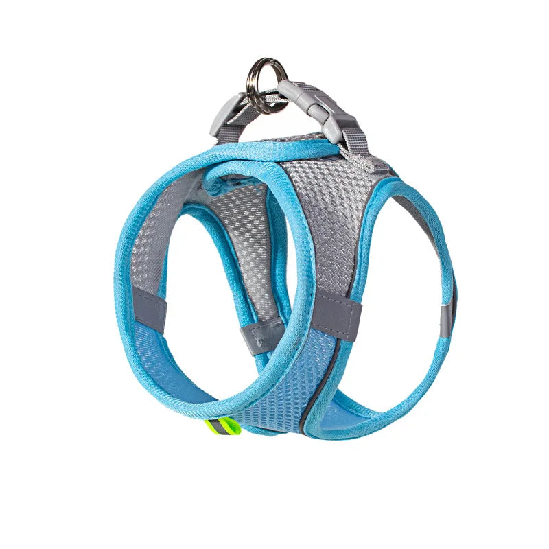 Adjustable Puppy Harness and Leash Set