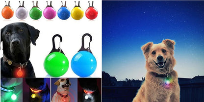 USB Rechargeable LED Dog Collar Night Safety
