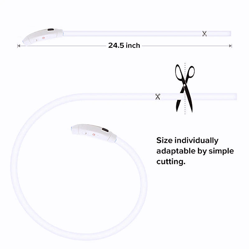 USB Rechargeable LED Dog Collar Night Safety