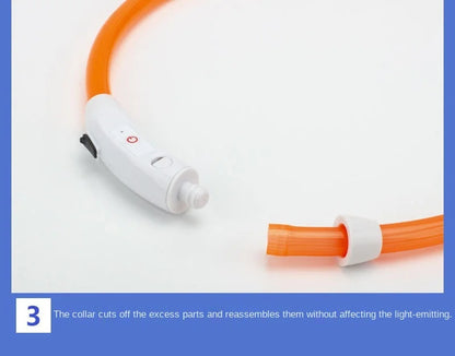 USB Rechargeable LED Dog Collar Night Safety