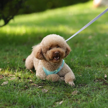 Adjustable Puppy Harness and Leash Set