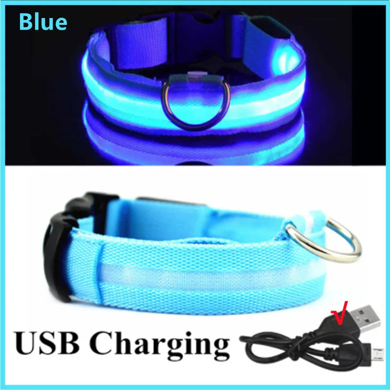 USB Rechargeable LED Dog Collar Night Safety