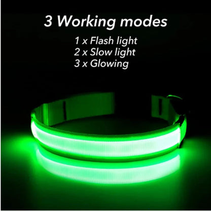 USB Rechargeable LED Dog Collar Night Safety