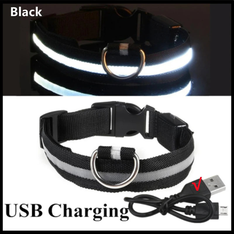 USB Rechargeable LED Dog Collar Night Safety
