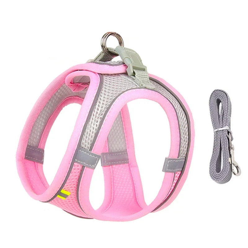Adjustable Puppy Harness and Leash Set