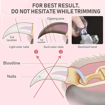 LED Light Pet Nail Clipper Scissors for Dogs & Cats