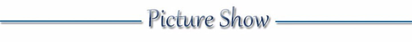 USB Rechargeable LED Dog Collar Night Safety