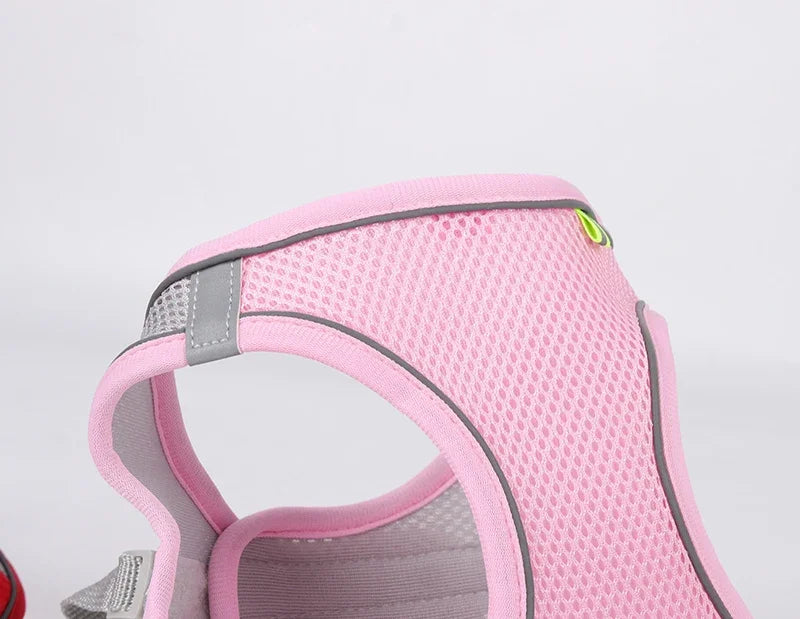 Adjustable Puppy Harness and Leash Set