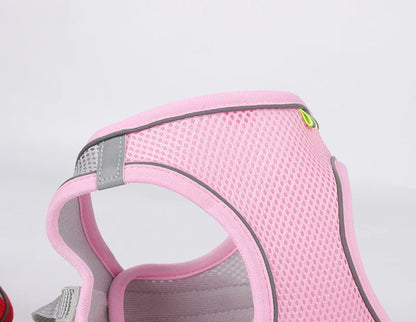 Adjustable Puppy Harness and Leash Set