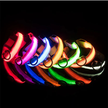 USB Rechargeable LED Dog Collar Night Safety