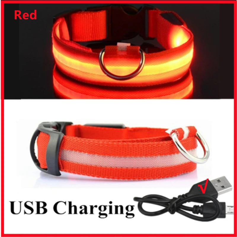 USB Rechargeable LED Dog Collar Night Safety