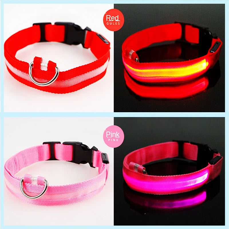 USB Rechargeable LED Dog Collar Night Safety