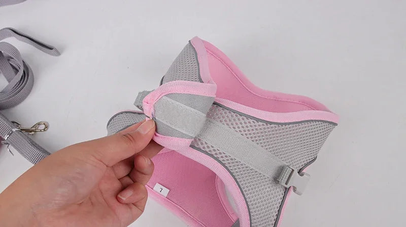 Adjustable Puppy Harness and Leash Set