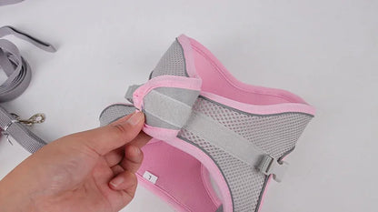 Adjustable Puppy Harness and Leash Set