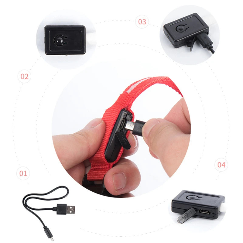 USB Rechargeable LED Dog Collar Night Safety