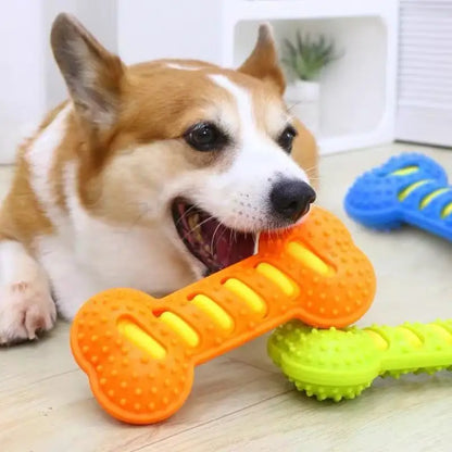 Rubber Bone Bite-Resistant Puppy Chew Toy