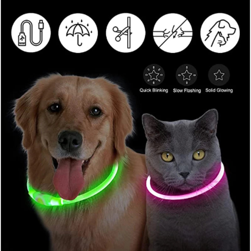 USB Rechargeable LED Dog Collar Night Safety