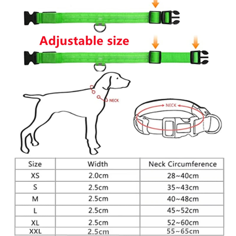 USB Rechargeable LED Dog Collar Night Safety