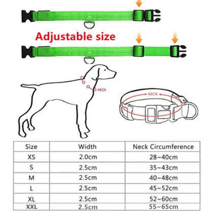 USB Rechargeable LED Dog Collar Night Safety