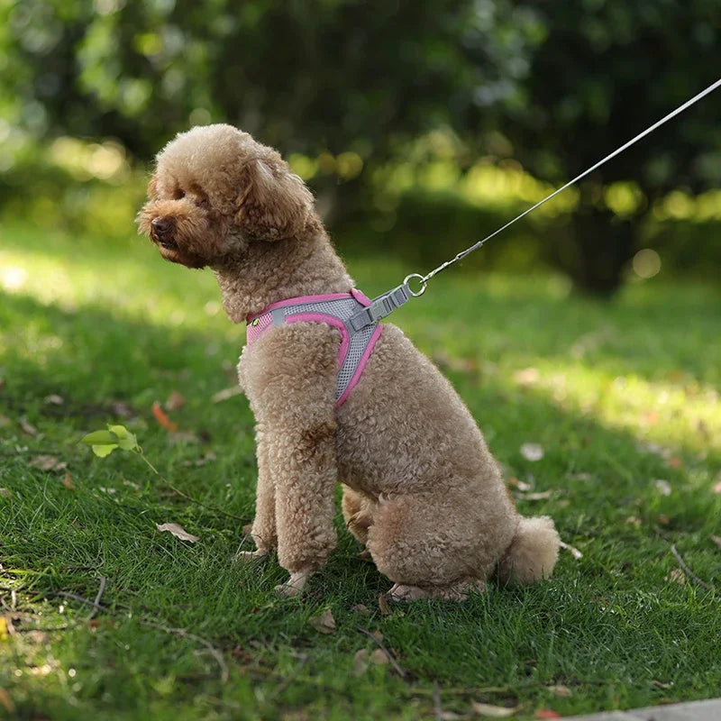Adjustable Puppy Harness and Leash Set