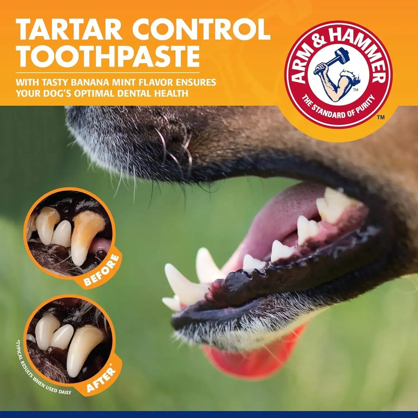 Pet Dental Care Kit Toothpaste Toothbrush & Finger Brush