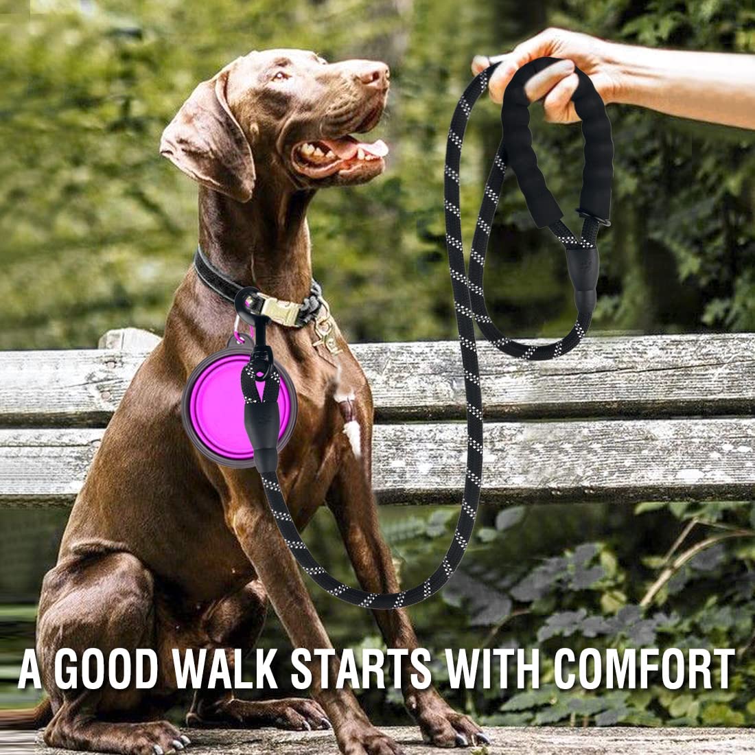 Heavy-Duty Reflective Dog Leash for Large Dogs