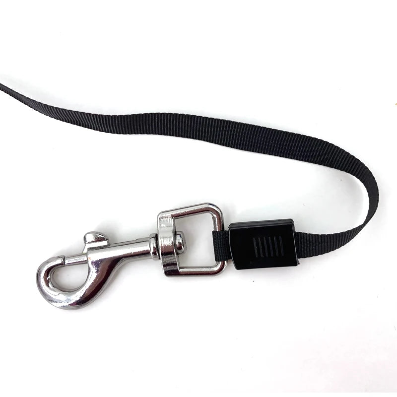 Retractable Dog Leash 3M / 5M Automatic Lock