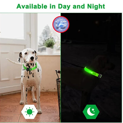 USB Rechargeable LED Dog Collar Night Safety