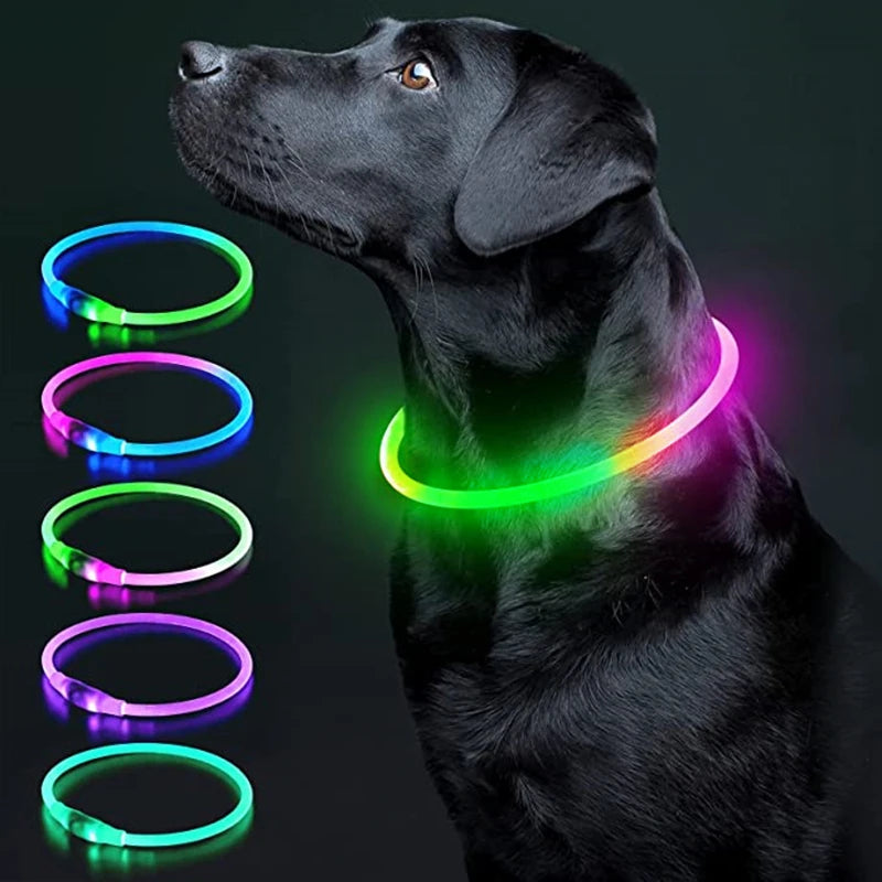 USB Rechargeable LED Dog Collar Night Safety