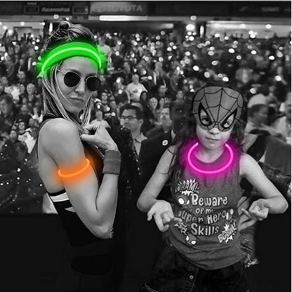 USB Rechargeable LED Dog Collar Night Safety