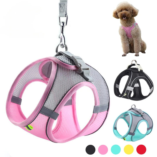 Adjustable Puppy Harness and Leash Set