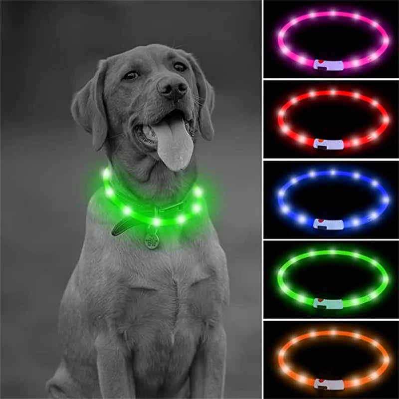 USB Rechargeable LED Dog Collar Night Safety
