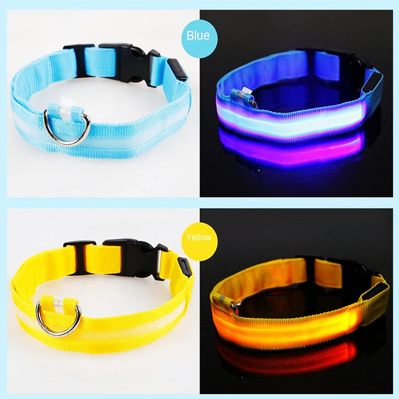 USB Rechargeable LED Dog Collar Night Safety