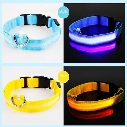USB Rechargeable LED Dog Collar Night Safety