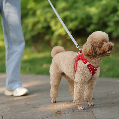Adjustable Puppy Harness and Leash Set