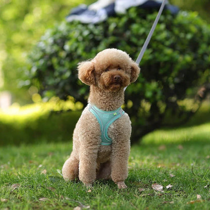 Adjustable Puppy Harness and Leash Set
