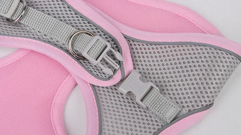 Adjustable Puppy Harness and Leash Set