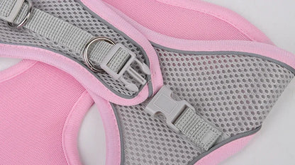 Adjustable Puppy Harness and Leash Set