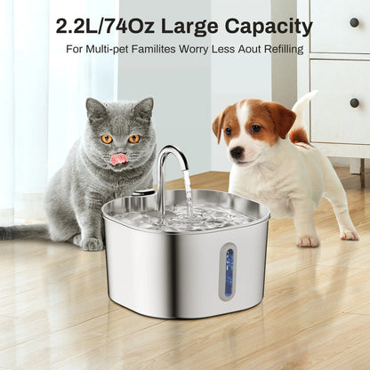 Smart WiFi App Video Pet Feeder Automatic Cat & Dog Food Dispenser with Stainless Steel Bowl