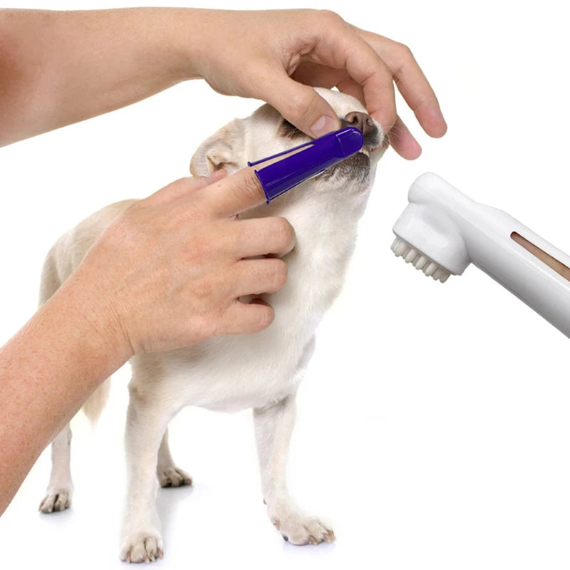 4-Piece Pet Tartar Control Dental Care Kit