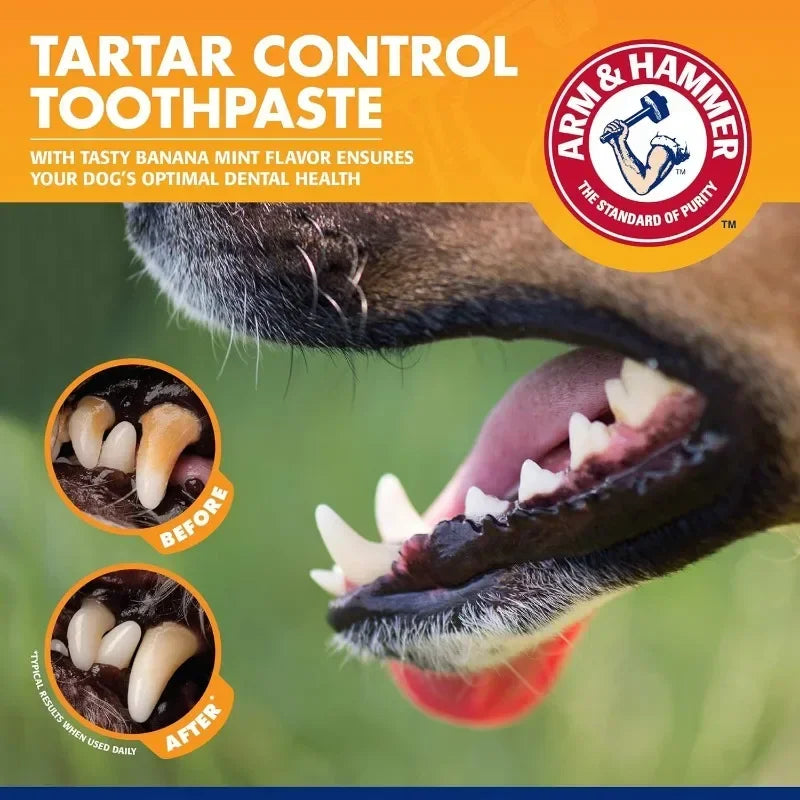 Pet Dental Care Kit Toothpaste Toothbrush & Finger Brush
