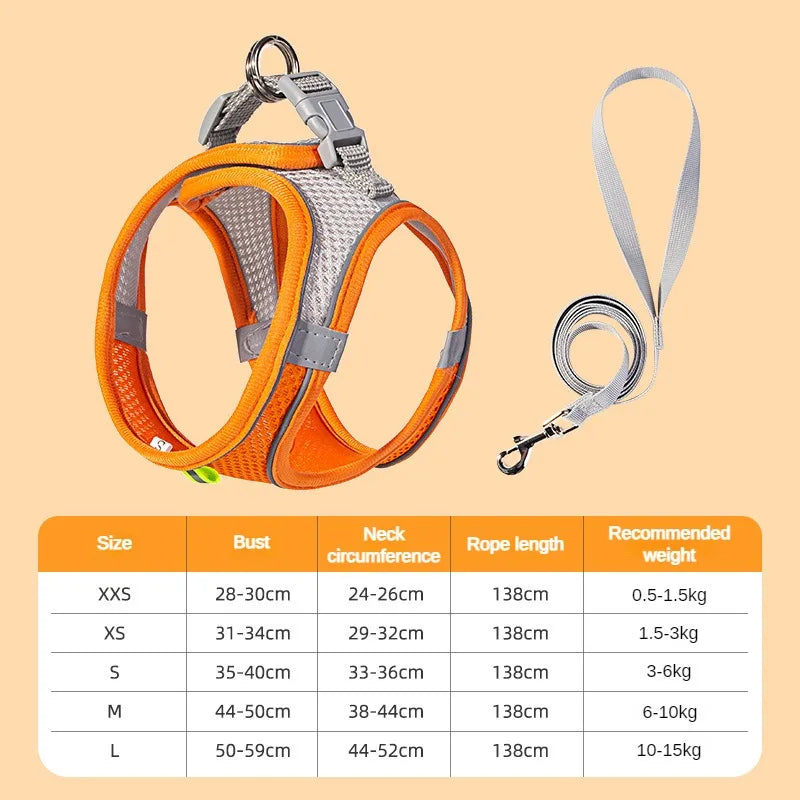 Adjustable Puppy Harness and Leash Set