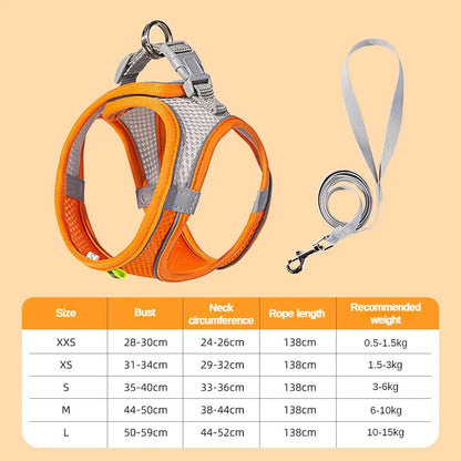 Adjustable Puppy Harness and Leash Set