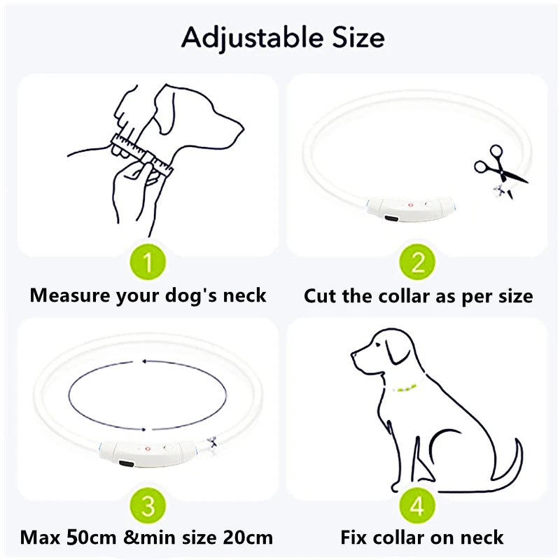 USB Rechargeable LED Dog Collar Night Safety