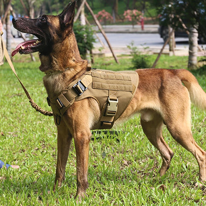 Large Dog Harness and Leash Set Training Vest