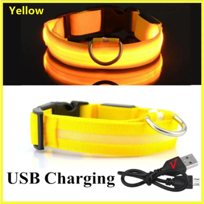 USB Rechargeable LED Dog Collar Night Safety