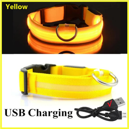 USB Rechargeable LED Dog Collar Night Safety